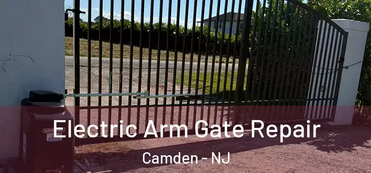  Electric Arm Gate Repair Camden - NJ
