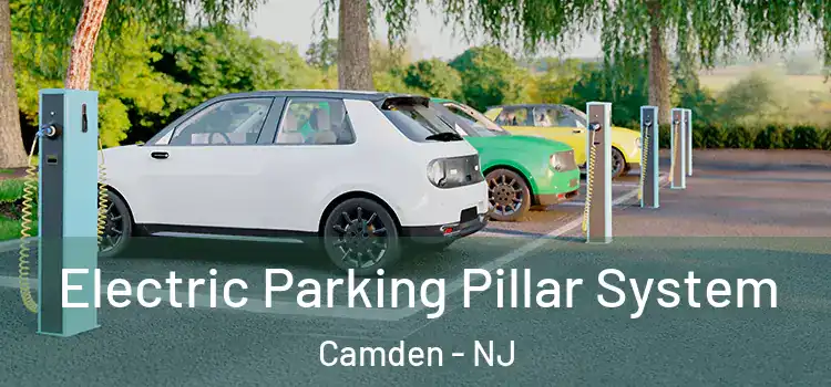  Electric Parking Pillar System Camden - NJ