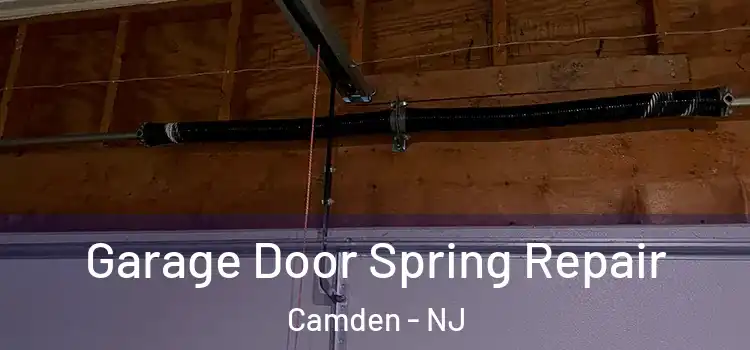  Garage Door Spring Repair Camden - NJ